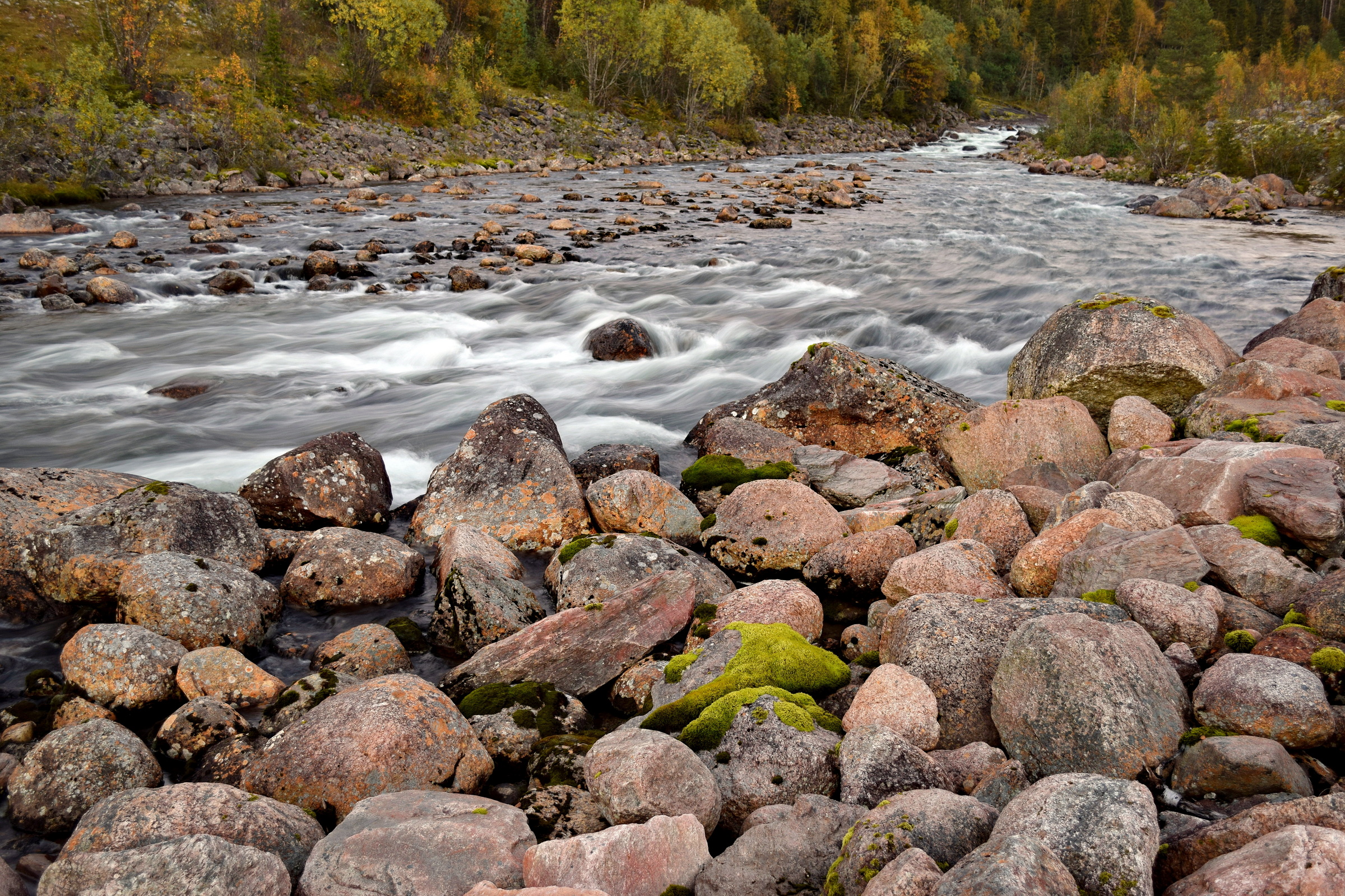 Lakselva · høst