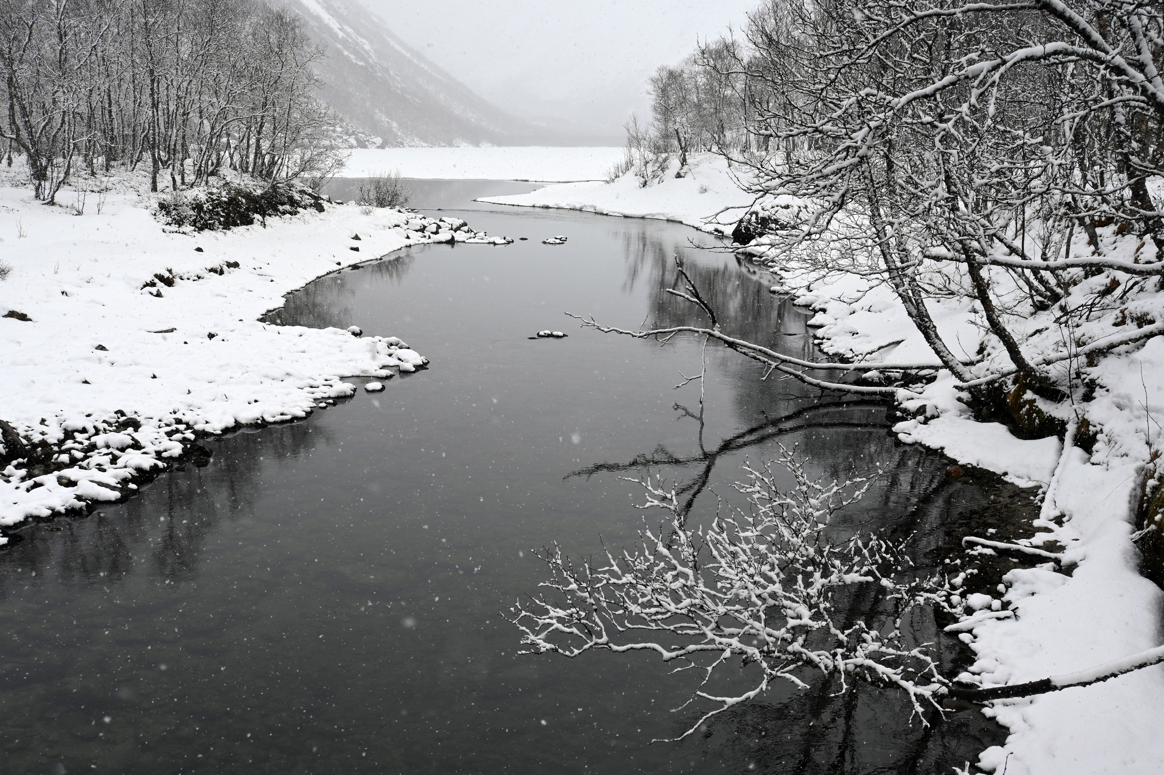 Sommer · Skamdalselva